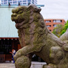 狛犬②　佃島住吉神社にて