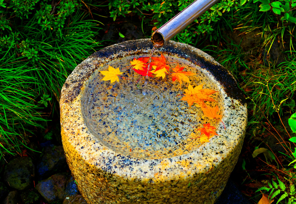 落ち紅葉とオブジェ 日本庭園　（国営昭和記念公園）