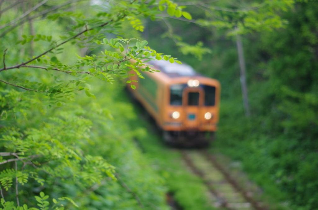 新緑とメロス号
