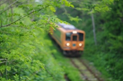 新緑とメロス号