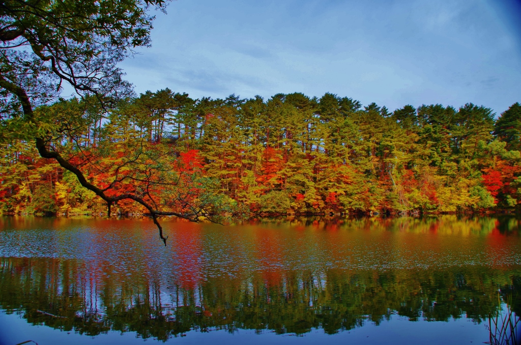 紅葉の裏磐梯・柳沼