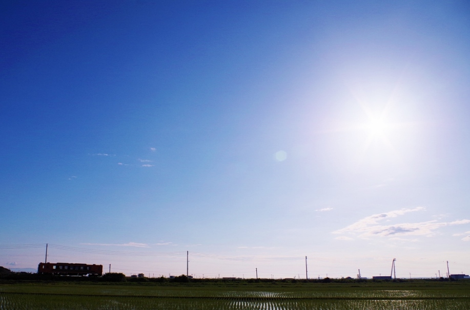 初夏メロス