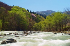 春の赤石川中流