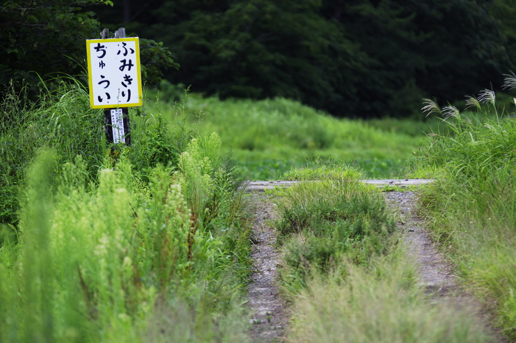 記憶の中に