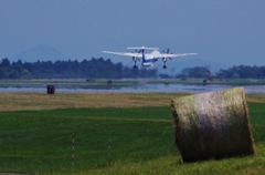 初の飛行機撮影④