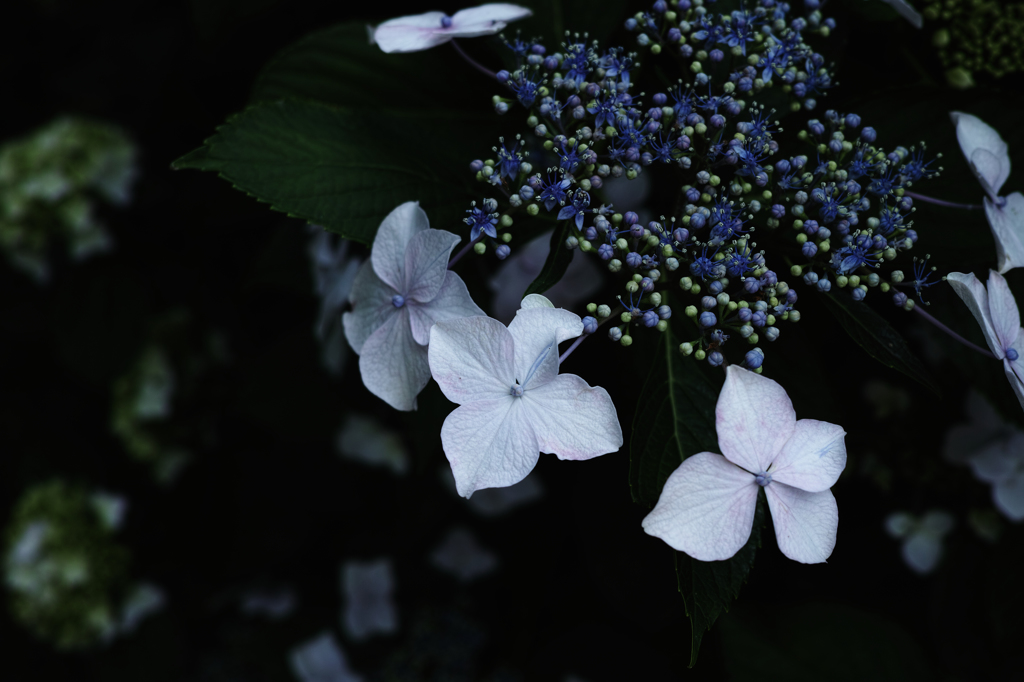 DP2M0602