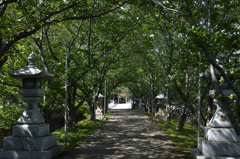 風の通り道