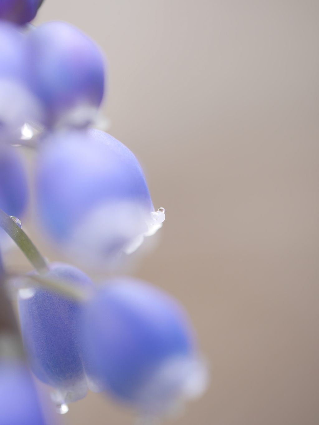 雨ですねぇ～Ⅰ