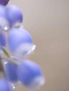 雨ですねぇ～Ⅰ
