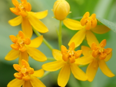 ダブルビンゴ！