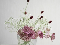 今週の花20140629