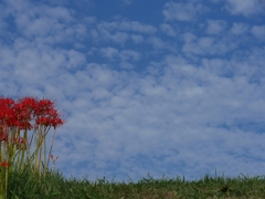 秋空