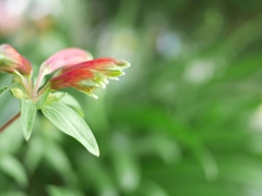 晴れ間に