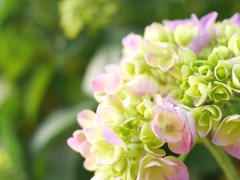 もうすぐ6月
