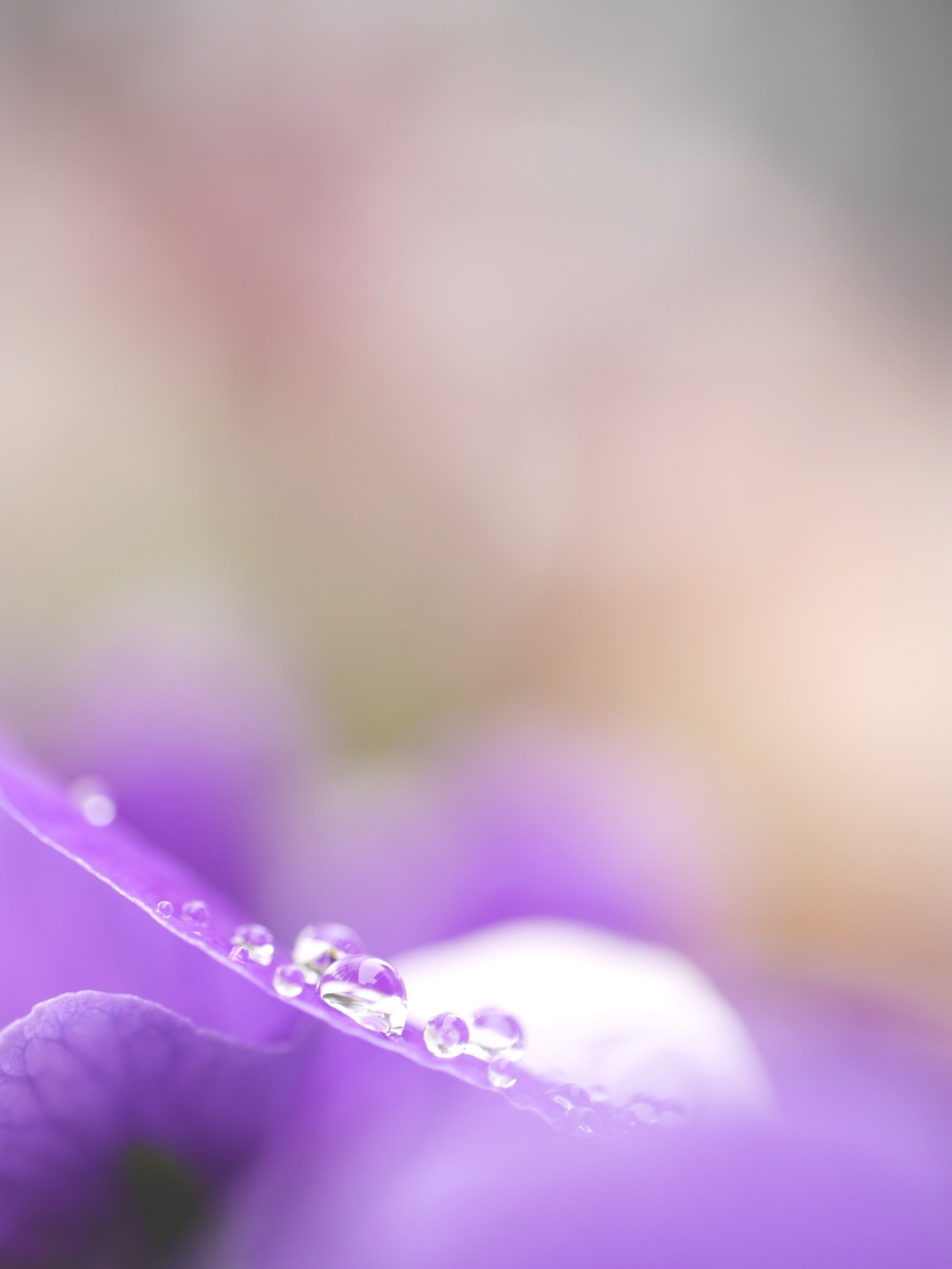雨ですねぇ～Ⅱ