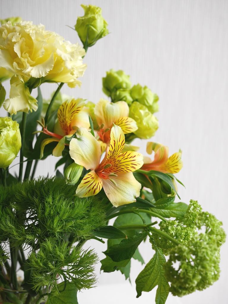 今週の花2014526