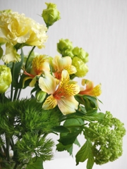 今週の花2014526