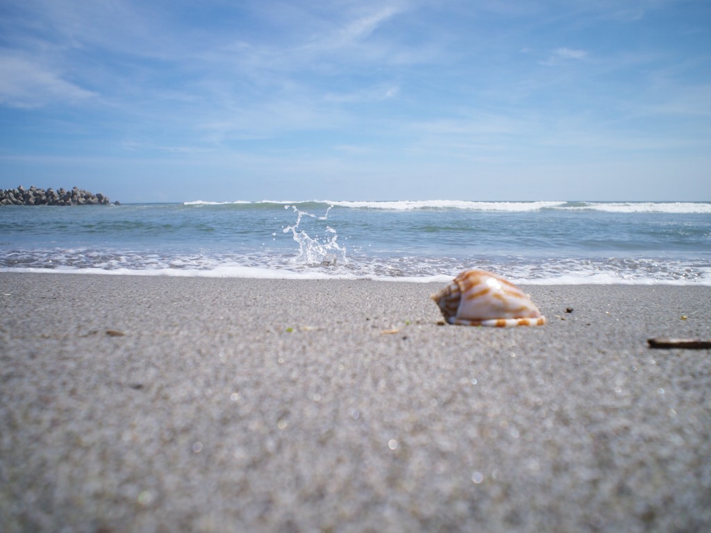 夏　海