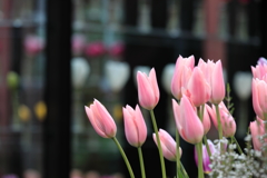 すっかり暖かくなりました　↑