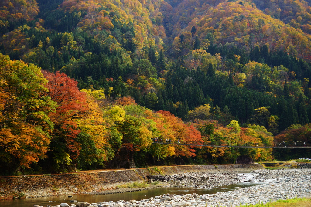 白川郷～紅葉の架け橋