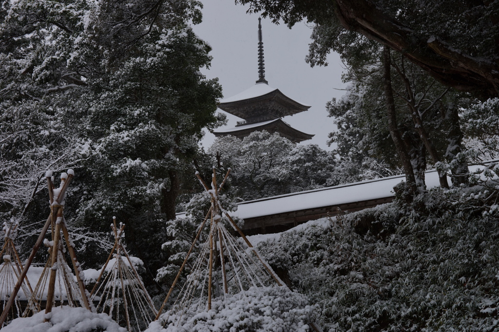 雪深い能登のお寺金栄山妙成寺