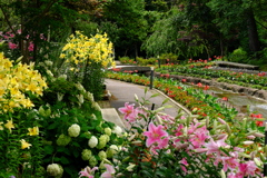 四季〜庭園を彩る季節の花