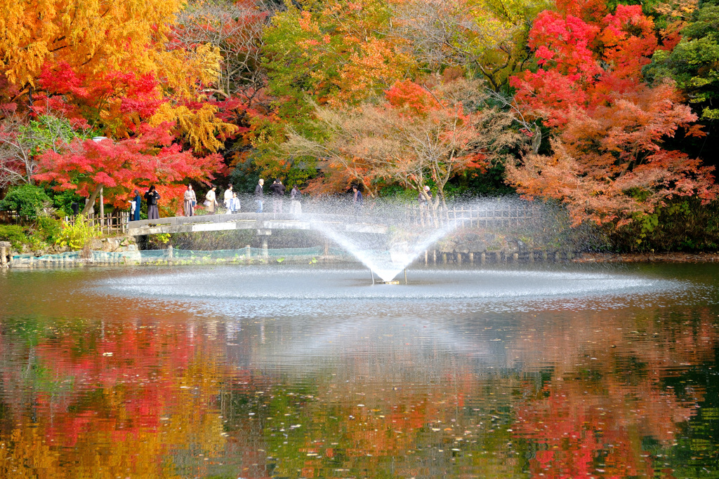 紅葉噴水の宴