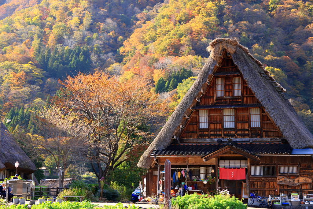 紅葉に彩られる集落