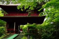 新緑の大乗寺