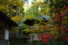 永平寺彩りの秋
