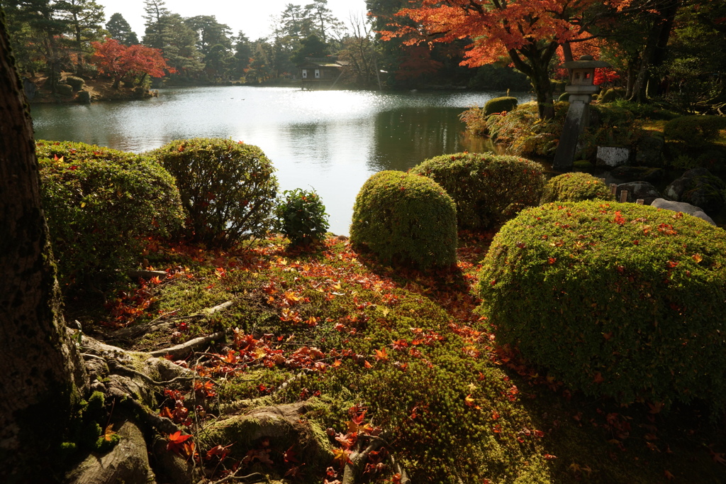 兼六園の秋その壱