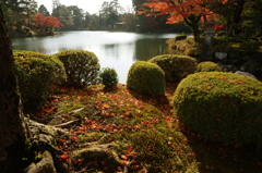 兼六園の秋その壱