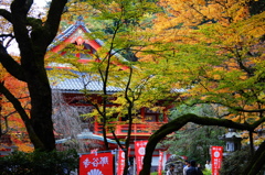 那谷寺～赤い御堂に訪れた秋