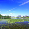 夏の青空〜富山県中央植物園