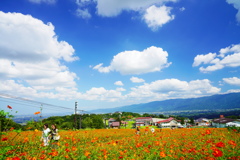 秋晴れの高原