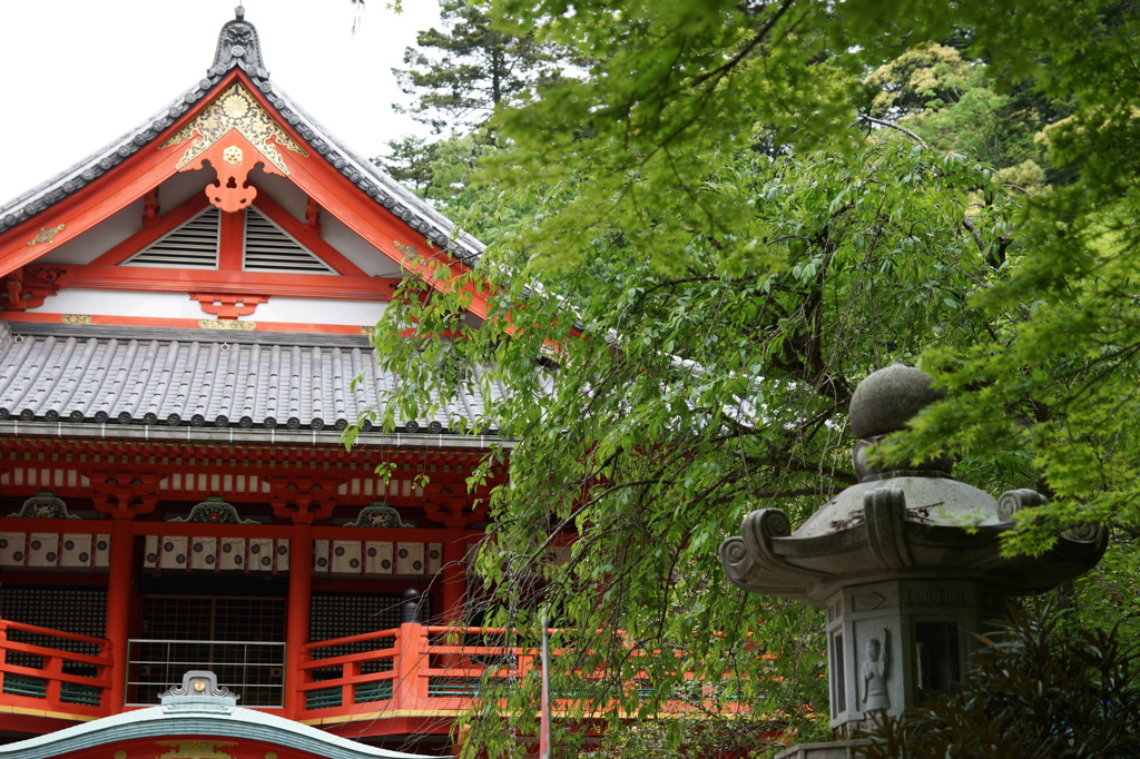 新緑の那谷寺