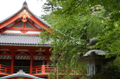 新緑の那谷寺