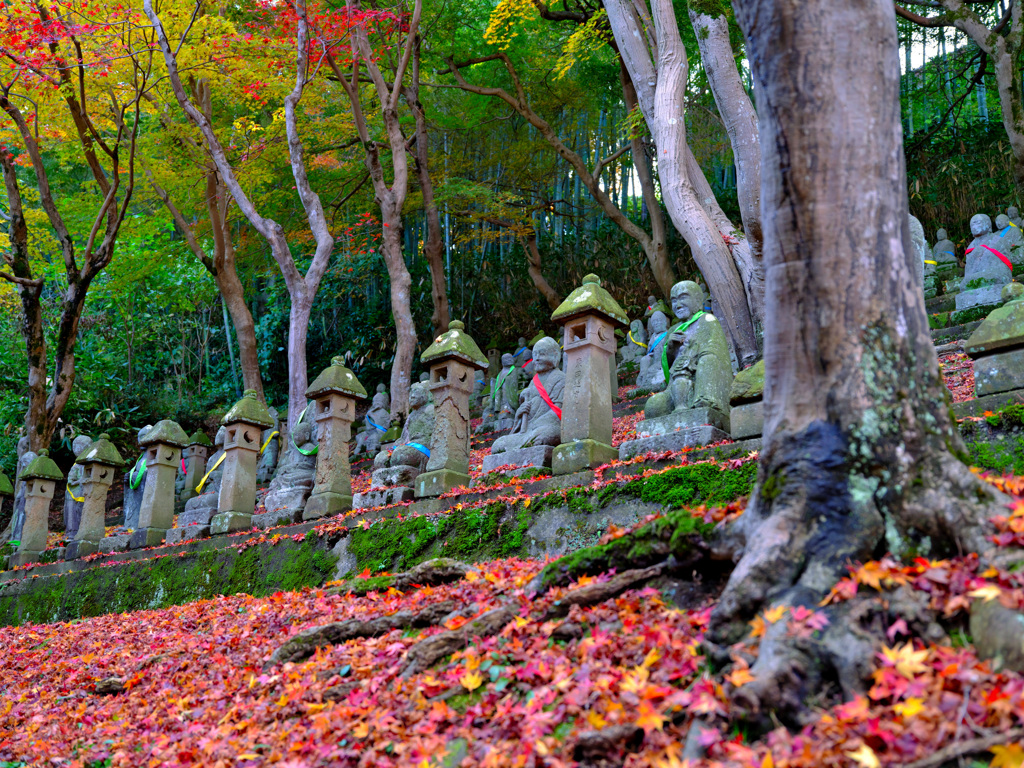 五百羅漢紅葉彩