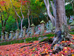 五百羅漢紅葉彩