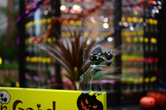 Hallo ween〜四季彩館
