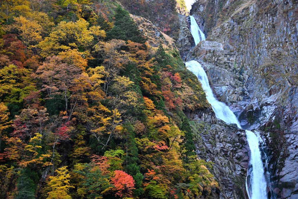 紅葉と滝