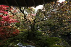 那谷寺茶室のある庭