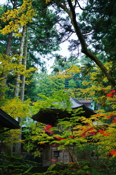 永平寺雨音の御堂
