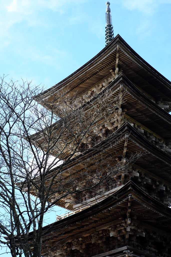 冬の名残妙成寺