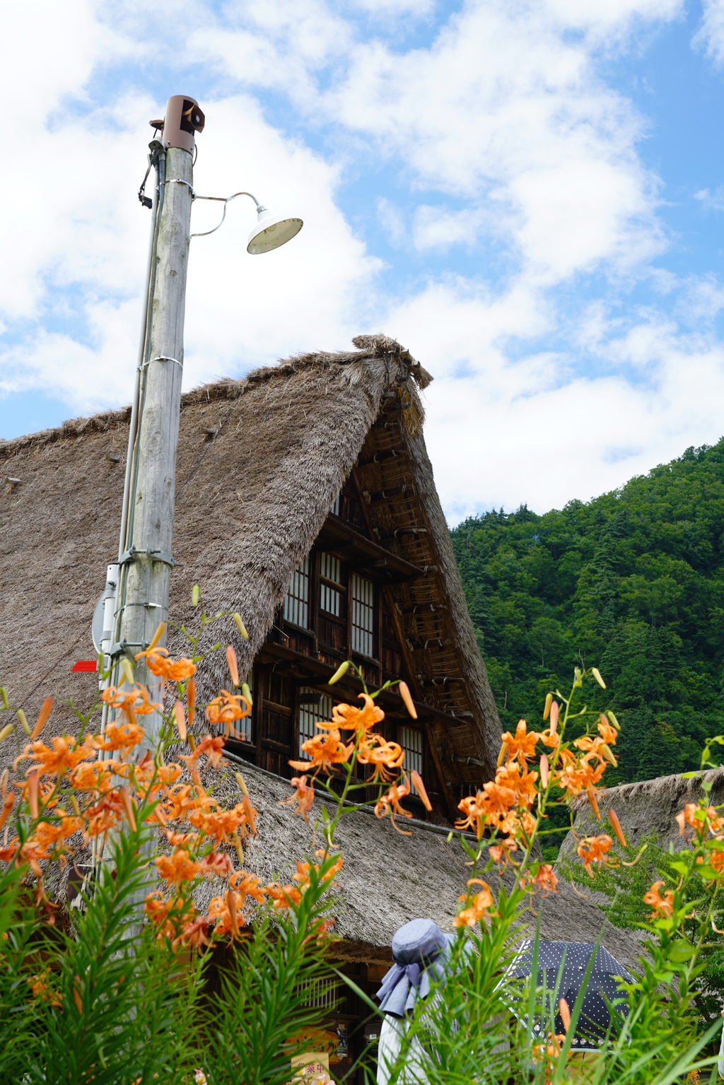 五箇山菅沼集落の夏