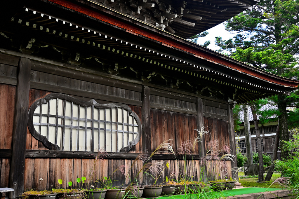 禅寺の秋