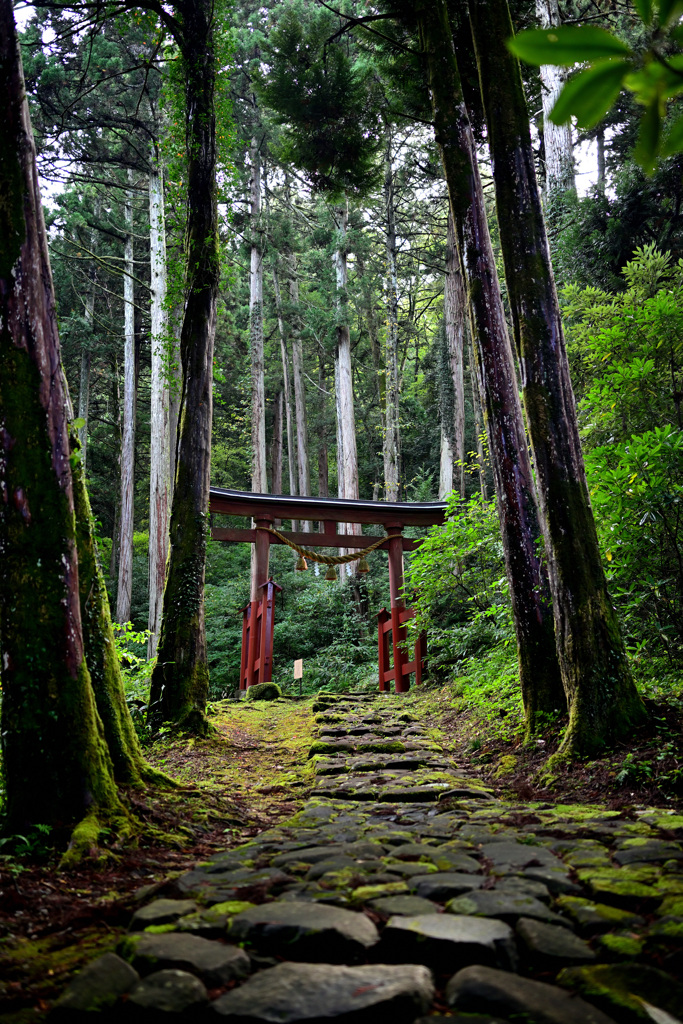 赤倉神社山道の鳥居