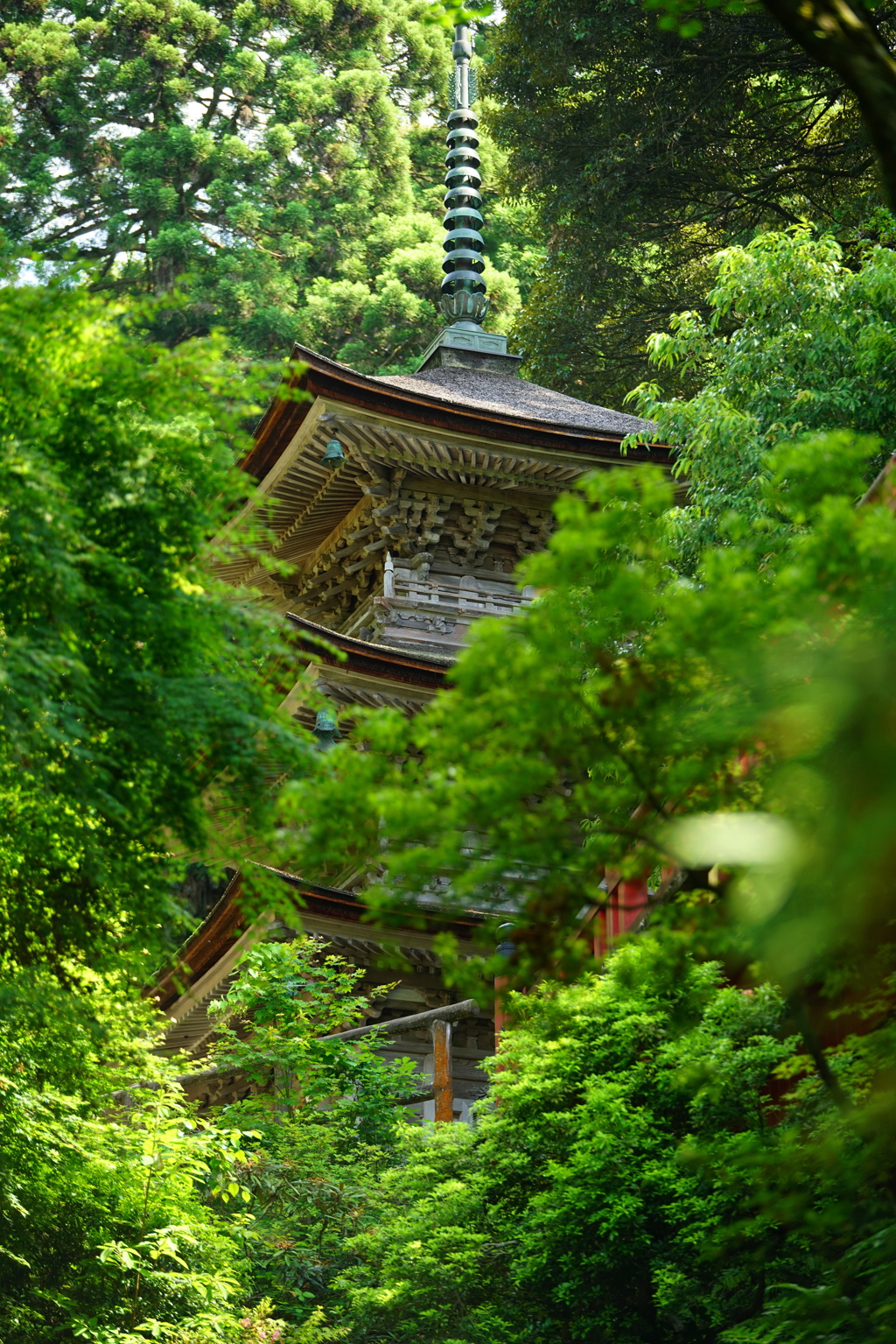 森の塔
