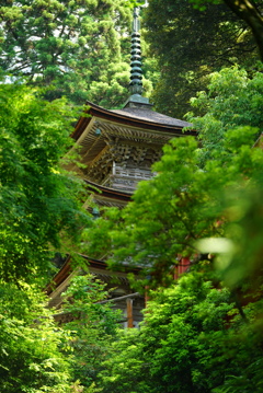 森の塔