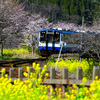 春爛漫能登鉄道